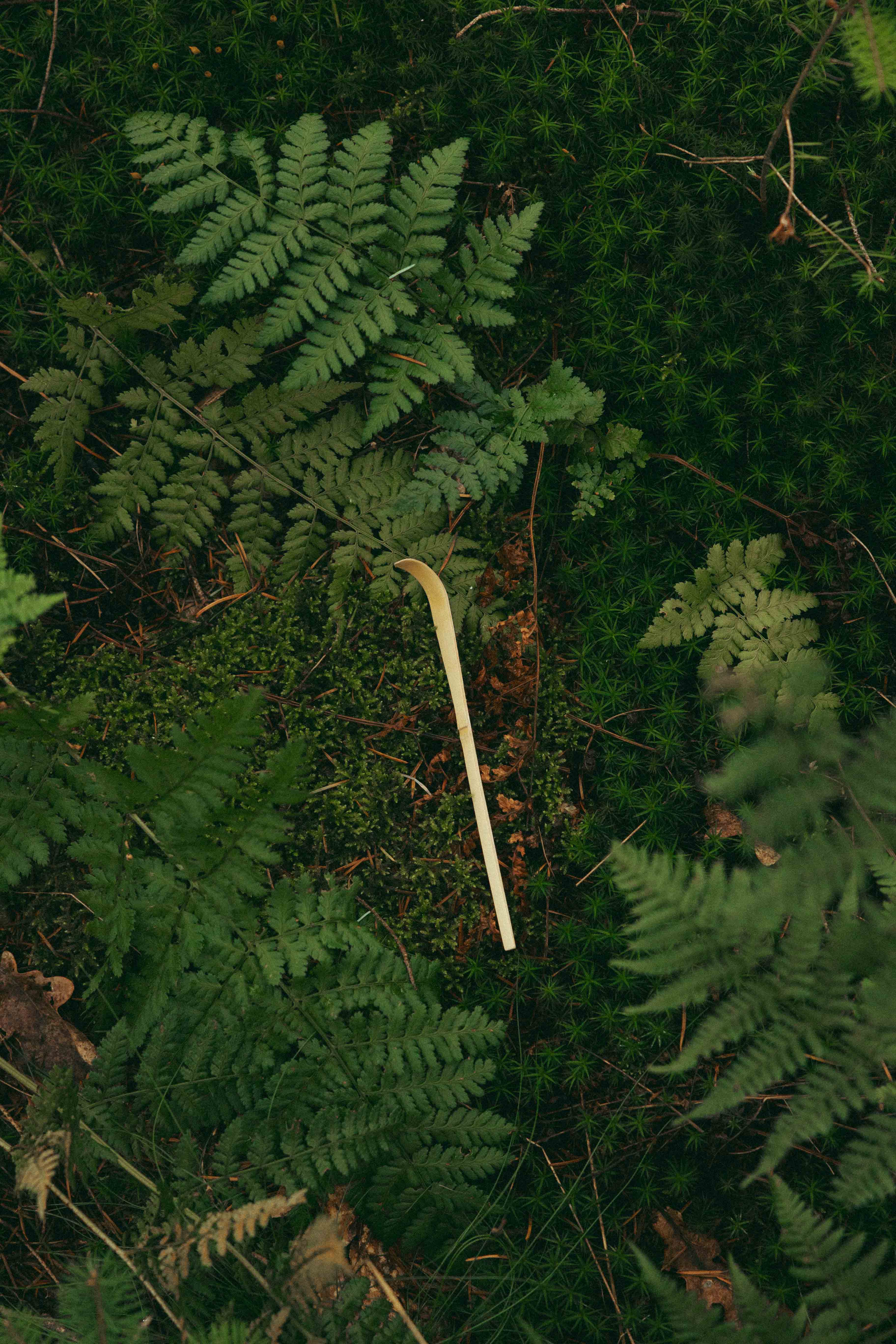 Bamboo spoon