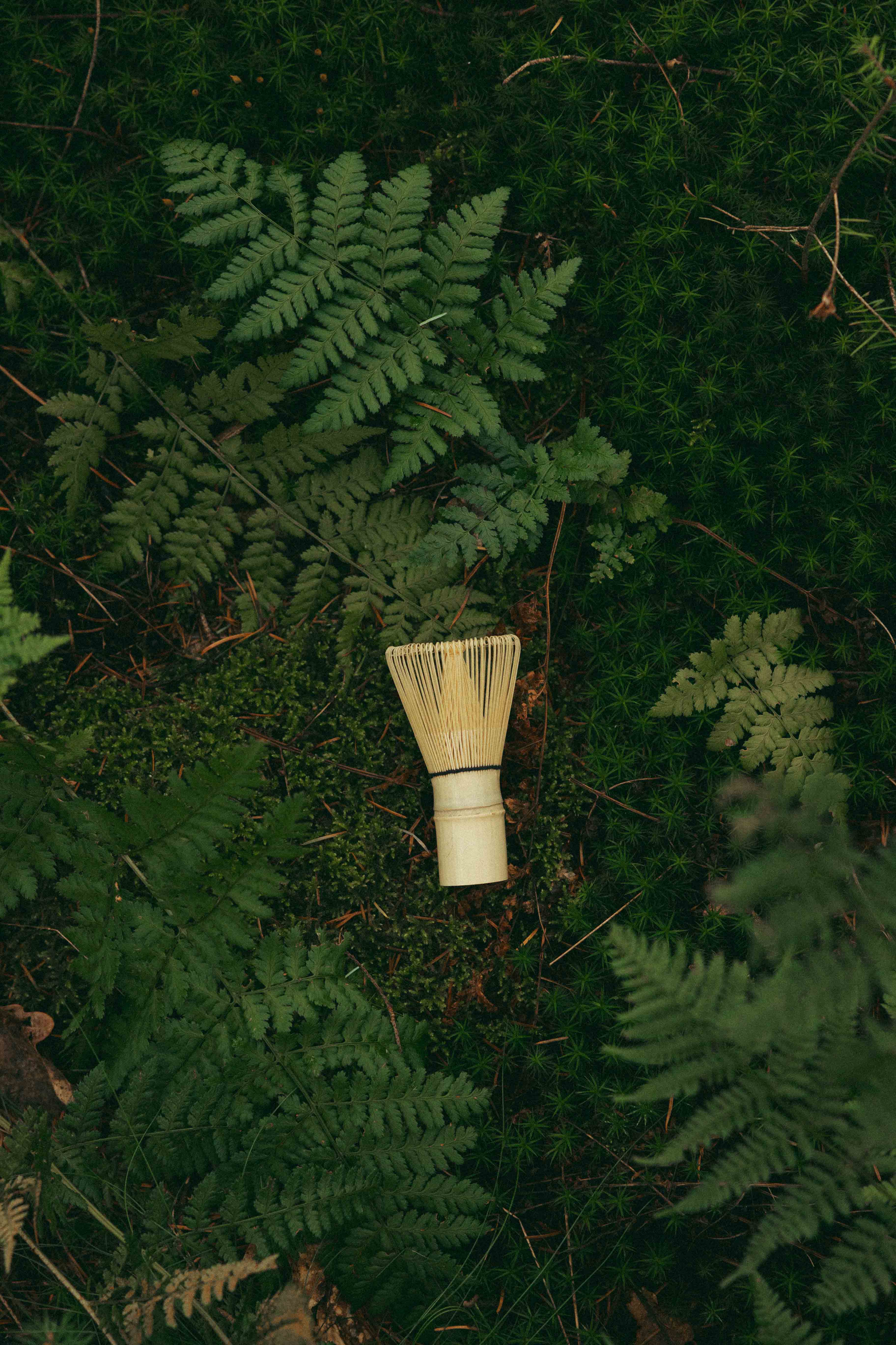 Matcha whisk